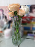斐月伽花瓶擺件客廳插花玻璃透明輕奢高級感水養(yǎng)百合玫瑰水培鮮花裝飾 冰川紋透明花瓶大號25CM 曬單實拍圖