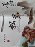 滇味十足 云南新鮮松茸 香格里拉未開傘出口品質(zhì)養(yǎng)生菌菇滋補(bǔ)營養(yǎng)美味 【出口級】凈重500克 5-7cm 曬單實(shí)拍圖