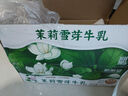 新希望牛角包可可草莓椰椰牛油果蜜瓜阿華田茉莉雪芽牛奶200g/袋調制乳 茉莉雪芽牛奶200g*12袋 曬單實(shí)拍圖