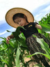 溫小影 HELLO YING女寶寶連衣裙夏裝兒童韓版女童棉蓬蓬裙子超仙洋氣網(wǎng)紗公主裙夏 黑色短袖星星裙子 110 cm 曬單實拍圖