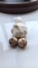 橙尚宮云南紫皮獨(dú)頭蒜2025新蒜大蒜頭新鮮農(nóng)家蒜頭干蒜當(dāng)季生鮮蔬菜 實(shí)惠珍珠果(22-26mm)1斤 曬單實(shí)拍圖
