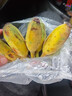 廣西小米蕉小香蕉自然熟迷你香蕉蘋(píng)果蕉小芭蕉新鮮水果特產(chǎn)雞蕉 蘋(píng)果蕉 5斤 香甜軟糯 曬單實(shí)拍圖