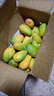 柏饞海南小臺農芒果新鮮現摘小臺芒應當季熱帶水果南方特產(chǎn)甜心熟芒果 3斤 凈重2.5-2.8斤 大果單果90-120g 曬單實(shí)拍圖