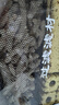 漁師傅魚(yú)缸魚(yú)池海鮮池過(guò)濾材料細(xì)菌屋環(huán)火山石生蠔殼珊瑚骨珊瑚石培菌環(huán) 10斤促銷(xiāo)裝/精選優(yōu)質(zhì)珊瑚骨*珊珊石頭 曬單實(shí)拍圖