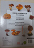 DK蘑菇大百科 托馬斯萊瑟斯 精裝插圖 介紹450多種野生蘑菇 青少年科普百科課外讀物書(shū)籍正版書(shū)籍 DK蘑菇大百科 曬單實(shí)拍圖