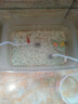 貝初眾增氧泵魚缸氧氣泵戶外釣魚小型充電式氧氣泵機家用養(yǎng)魚缸靜音打氧 強防水強靜音 雙孔+雙氣石【78小時長續(xù)航】 交直流氧氣泵【自帶掛鉤設(shè)計】 全套增氧大禮包 曬單實拍圖