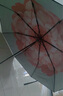 蕉下（beneunder）防紫外線遮陽傘三折雙層黑膠晴雨傘防曬傘BM664月霧 曬單實(shí)拍圖