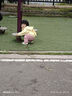 FILA斐樂女鞋楊冪同款摩登帆布鞋夏季新款水母鞋時尚休閑鞋七夕送女友 豆腐白-TA 38 曬單實拍圖