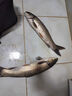 川澤鮮嫩玉米粒餌料窩料野釣打窩玉米粒釣餌鯉魚(yú)翹嘴鳊魚(yú)草魚(yú)專(zhuān)用餌料 窩料嫩玉米 果味（1000g） 曬單實(shí)拍圖