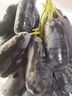 京愿山西金手指葡萄水果藍寶石黑加倫提子無(wú)籽葡萄生鮮 凈重2斤裝 曬單實(shí)拍圖