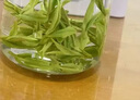 世茗巖精品白茶安吉奶白茶2025新茶湖州綠茶頭采高檔禮盒裝中秋送禮佳品 頭采雙罐250g 曬單實(shí)拍圖