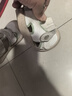 基諾浦（ginoble）學(xué)步鞋25夏透氣涼鞋男女童機能鞋夏日經(jīng)典系列GW1757棉白/木犀綠 曬單實(shí)拍圖