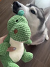 亞禾狗玩具陪伴解悶恐龍發(fā)聲耐咬泰迪比熊小型犬用品幼犬磨牙消耗體力 綠恐龍小號（發(fā)聲+解悶） 曬單實(shí)拍圖