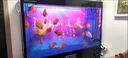 魚缸黃水過濾清潔神器水族箱吸色片透水凈水材料過濾器吸色紙 凈水片【300片裝】養(yǎng)魚必備 曬單實(shí)拍圖