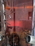 一擔(dān)糧老北京二鍋頭白酒逗號款清香型42度480ml*12瓶整箱新舊款隨機  曬單實拍圖