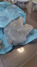 青蝦仁去蝦線(xiàn)凈蝦仁美味蝦仁低脂餐商用批發(fā)大蝦凍蝦肉特級 青蝦仁10％保護性冰衣 300g/袋*3 曬單實(shí)拍圖