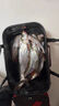 川品社 紅旗大肚漂鰱鳙釣組套裝夜釣電子魚(yú)漂遠投海釣磯釣浮釣海竿浮漂 3個(gè)套裝【帶鉛版】 中號（吃鉛30-40克） 曬單實(shí)拍圖