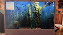 Apple/蘋果AI/iMac24英寸M4(10+10核)24G 512G紫色一體式電腦Z1K70002J 曬單實拍圖