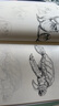 2冊《花卉動物速寫描摹本》零基礎畫畫入門新手自學教程書籍線描花卉臨摹手繪初學者學繪畫教材鉛筆畫素描速寫 曬單實拍圖