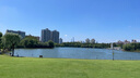 任鳥飛手拋網(wǎng)撒網(wǎng)鐵鏈美式易拋漁網(wǎng)打漁網(wǎng)旋網(wǎng)掄網(wǎng)捕魚輪胎線飛盤3.6米 曬單實(shí)拍圖