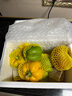 京鮮生 山東三色彩椒 圓椒甜椒新鮮蔬菜 凈重3斤源頭直發(fā)包郵 曬單實(shí)拍圖