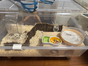 CARNO PET PRODUCTS卡諾倉(cāng)鼠飲水器水樽小燭臺(tái)防漏喂水器金絲熊滾珠喝水器 螢火之森 曬單實(shí)拍圖
