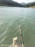 佳釣?zāi)岷Ｌ男驴钶p量大物竿鰱鳙魚竿手桿鰱鳙竿極輕量大物竿臺(tái)釣竿 7.5m 海棠大物竿 輕量大物竿 曬單實(shí)拍圖