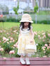 LUSON小O寶童裝寶寶重工滿繡小雛菊連衣裙女夏2025女童花邊蓬蓬公主裙 曬單實拍圖