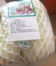 海篁山【順豐發(fā)貨】精選有機(jī)娃娃菜 新鮮蔬菜火鍋菜小白菜新鮮時令蔬菜 【有機(jī)娃娃菜】400g*3份 曬單實拍圖