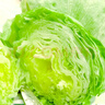 順豐生菜球新鮮蔬菜沙拉菜圓生菜圓球球形西生菜三明治漢堡用生菜 3斤【順豐】 曬單實(shí)拍圖
