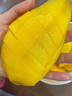 傾睦云南鷹嘴芒黃皮甜芒當(dāng)季熱帶孕婦水果新鮮現(xiàn)摘現(xiàn)采現(xiàn)發(fā)的甜心大果 5斤 （特大果400g+） 曬單實(shí)拍圖
