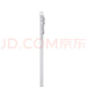 Apple/蘋果 iPad Pro13英寸M4芯片 2024年新款平板電腦(1T WLAN版/標準玻璃/MVX73CH/A)銀色 曬單實拍圖