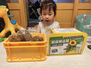 ECOEY兒童種植小盆栽玩具幼兒園創(chuàng)意diy玩具向日葵土培小學(xué)生觀察植物 超級(jí)轉(zhuǎn)運(yùn)箱-番茄 曬單實(shí)拍圖