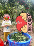 巴拉巴拉嬰兒t恤寶寶短袖上衣男女童夏裝2025萌208225117228 曬單實(shí)拍圖