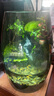 丘辰苔蘚微景觀養(yǎng)魚生態(tài)瓶diy辦公室內(nèi)桌面綠植擺件花卉盆栽生日禮物 翠微香（實木底座） 曬單實拍圖