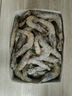 賣(mài)魚(yú)郎先生青島鹽凍大蝦凈重3.6斤 10-15只/斤 白蝦大蝦基圍蝦生鮮 蝦類(lèi) 曬單實(shí)拍圖