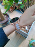 華為為手機(jī)2025新款GT5智能手表女打電話(huà)測(cè)血壓心率健康運(yùn)動(dòng)手環(huán) 冰脂三株玫金色 曬單實(shí)拍圖