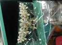 奇美拉（CHIMERA）網(wǎng)紅大號(hào)花朵發(fā)抓夾優(yōu)雅發(fā)夾后腦勺鯊魚夾發(fā)卡女生日禮物 曬單實(shí)拍圖