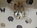 普陀山菩提手串貓爪菩提手串盤玩文玩手鏈送人禮物 曬單實(shí)拍圖