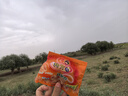 狗牙兒比薩卷 鍋巴 燒烤味 1.2斤20g*30袋 休閑零食 八爪燒 膨化食品 曬單實(shí)拍圖
