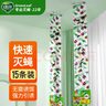 綠葉粘蠅條 粘蒼蠅彩帶 粘飛蟲掛條15條裝21256-15B 曬單實拍圖