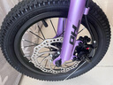 鳳凰（Phoenix）兒童自行車(chē)寶寶腳踏車(chē)自行車(chē)3-10歲童車(chē)單車(chē)雙碟剎帶輔助輪14寸 曬單實(shí)拍圖