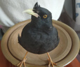 冠之亞八哥飼料鷯哥鳥糧專用食糧鳥食鳥飼料黑八畫眉營養(yǎng)鳥糧面包蟲干 1200ml八哥面包蟲干 曬單實拍圖
