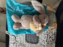 Jellycat害羞生日米色邦尼兔動物毛絨玩偶安撫禮物送禮娃娃生日禮物擺件 褐色 Medium 曬單實(shí)拍圖