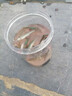FGHGF抓魚(yú)瓶?jì)和ヴ~(yú)神器捕魚(yú)撈魚(yú)神器倒須不漏戶(hù)外塑料抓魚(yú)工具 大號 （配約12米繩子+2包餌料+地插） 曬單實(shí)拍圖