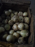 產(chǎn)地直發(fā) 四川苦藠 新鮮薤白小根2斤裝苦芥野菜野蔥頭農(nóng)家自種 1斤 曬單實(shí)拍圖