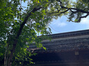 尼康（Nikon） D780單反相機D780數碼相機全畫(huà)幅專(zhuān)業(yè)高清攝影家用旅游單反相機 D780 24-120套機 官方標配【送鋼化膜+清潔套】 曬單實(shí)拍圖