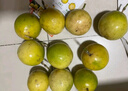 京鮮生欽蜜9號黃金百香果 3斤凈重70g+/15-21個  生鮮水果 源頭直發(fā) 曬單實拍圖