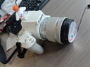佳能EOS100D 200D學(xué)生入門級單反相機(jī)高清旅游小單反后封港版人像家用 店保三年白200D二代+18-55STM鏡頭 套餐一 曬單實(shí)拍圖
