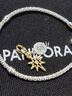 潘多拉（PANDORA）星愿成真手鏈套裝愛心串飾輕奢教師節(jié)禮物星愿成真手鏈套裝1.017CM 曬單實(shí)拍圖